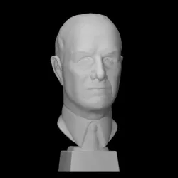Bust of a man