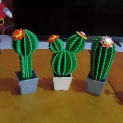 cactus printed 3d and cactus lasercut