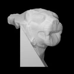 Carved Lion's Head