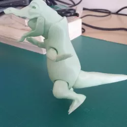 crocodile