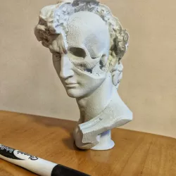David's Cranium