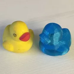 Ente Scan