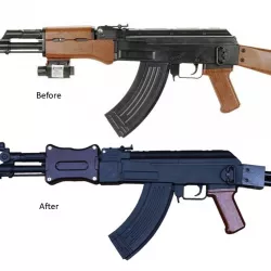 Fallout 3 "Chinese" Assault Rifle
