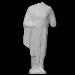 Female torso