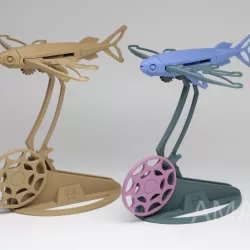 Flying Fish
