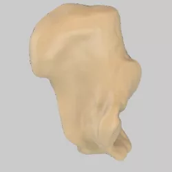 GIAA Bibliothèque Anatomique (Anatomic Library) - Calcaneus
