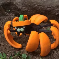 Halloween Pumpkin Spider Transformer