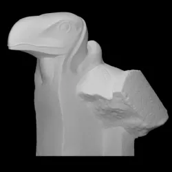 Head of a vulture