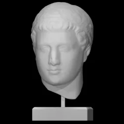 Head of an athlete