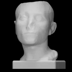 Head of an unknown man