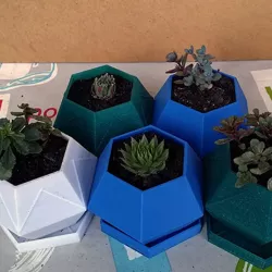 Hexagon Sukkulenten Pflanzgefäß (succulent planter)