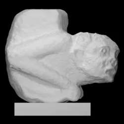 Human Protome with Cartouche