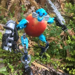 Lego Bionicle to Food Adapter