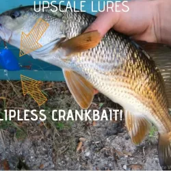 LIPLESS CRANKBAIT 2 INCH