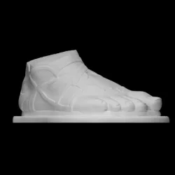 Male Right Foot Wearing a Sandal
