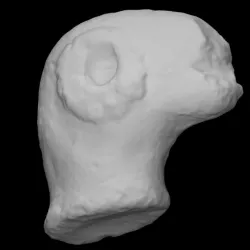 Mexican Figurine Head