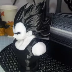 Muti-Coloured Vegeta Bust
