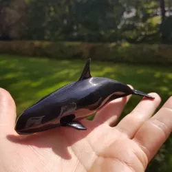 Orca