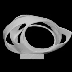 Oval Form (Trezion)