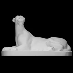 Panther