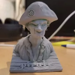 Pirate Bust