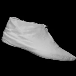 Shoe