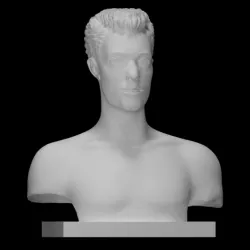 Study of a Scientist (Bust of Maurice Burton)