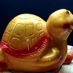 The Storage money turtle