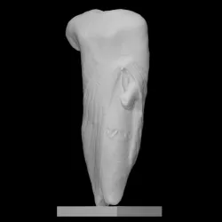 Torso of lyre-player