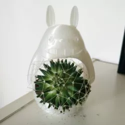 Totoro planter - Small Totoro vase
