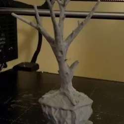 Tree On the Rock