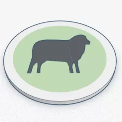 undiscovered land - tokens - wool