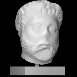 Unknown man's head
