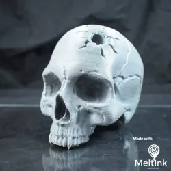 Vampire Skull