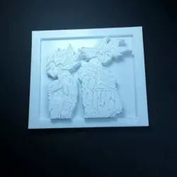 végéta & songoku