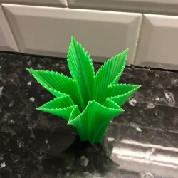 Weed vase