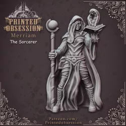 $3.00Sorcerer - Human Magic User - Hell Hath No Fury - 32mm Scale