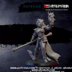 $3.90Tiefling female warlock
