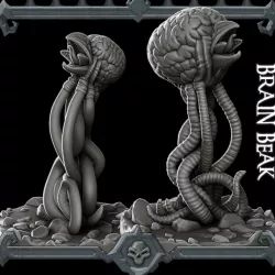 $3.99Brain Beak