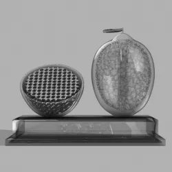 3DPIAwards - Lemon