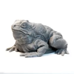 $4.00Giant Toad - DnD Monster - 2 Poses