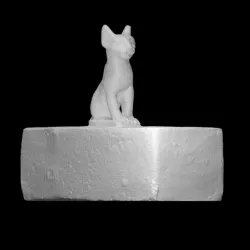 Animal Coffin with a cat figurine