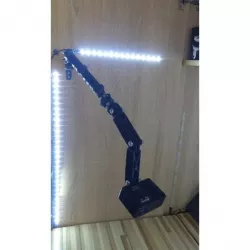 Arm