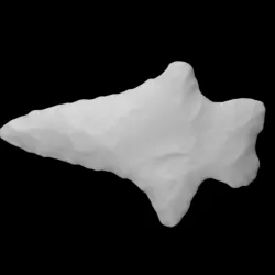 Biface - COADS_156-117