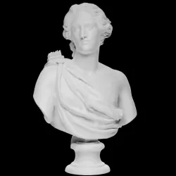 Bust of Apollo