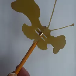 Butterfly Fun
