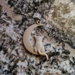 Cat and Moon