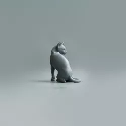 Cat pensive