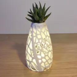 Cellular Planter / Lamp
