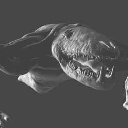 crawler